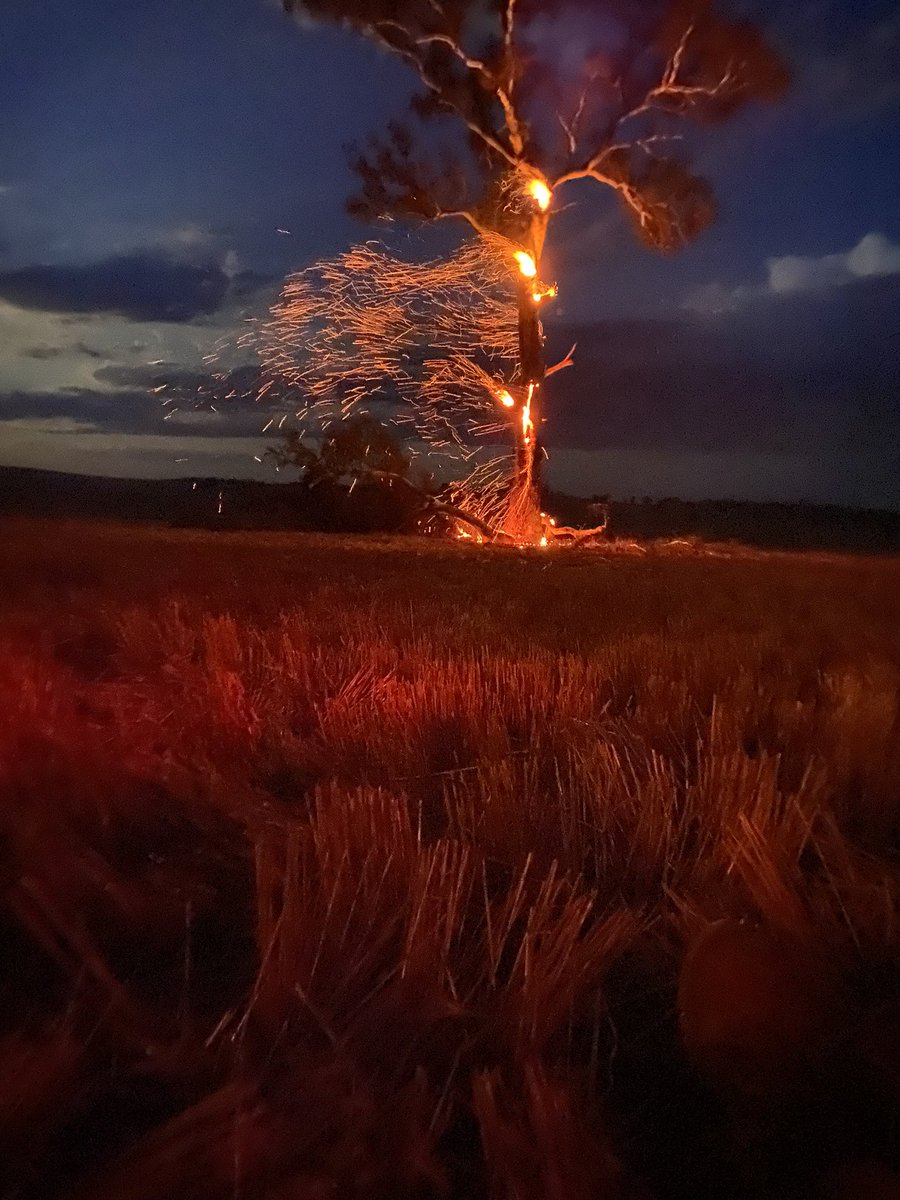 Buster Langtry tweet media