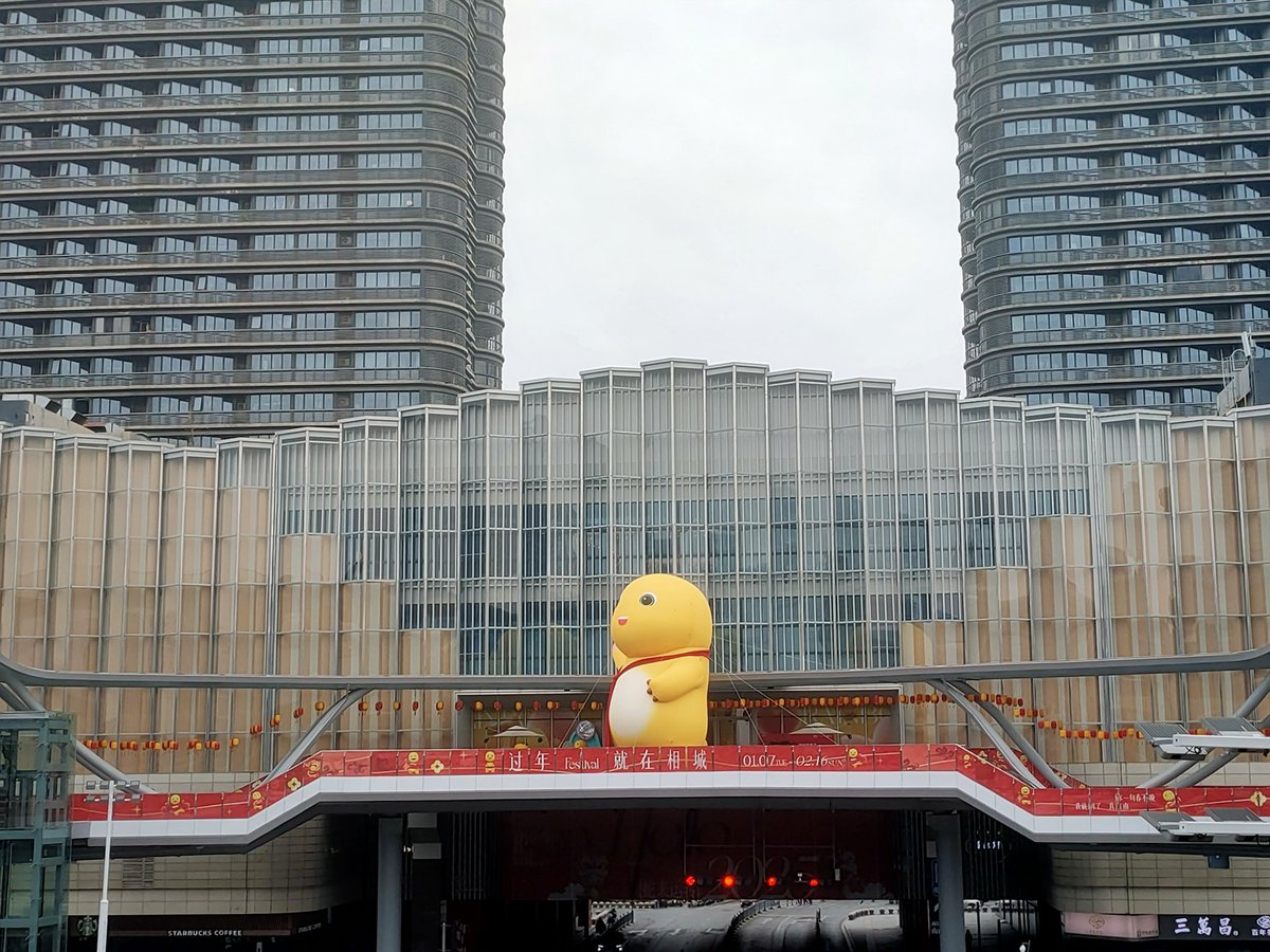 Fantaday_'s tweet photo. 看奶龙 https://t.co/7DbFSoQb9F