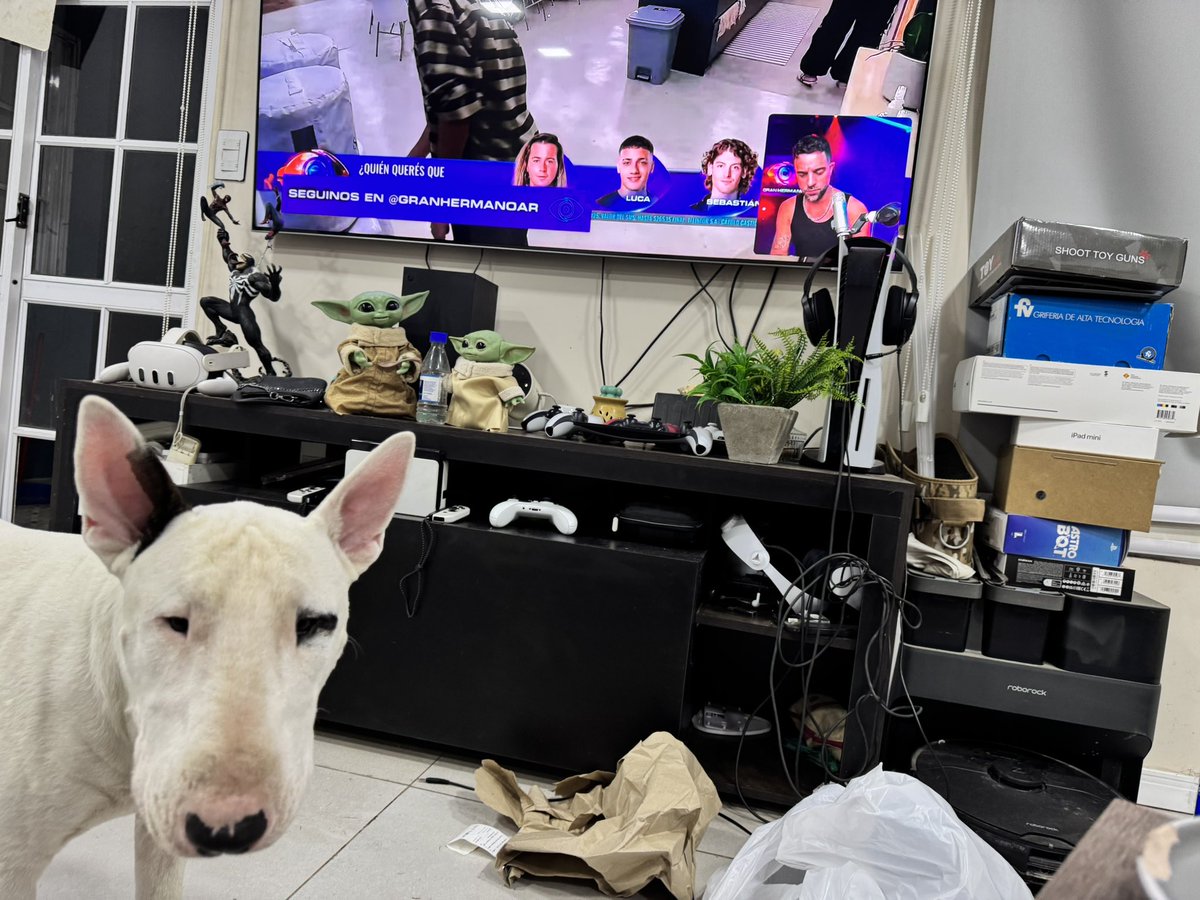 crotaa24's tweet photo. @Poggi como siempre mirando #GHXPOGGI  con rudo!!! https://t.co/7V8hiKSdIE