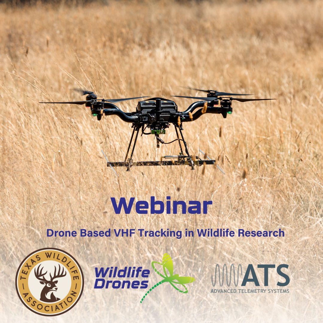 WildlifeDrones1's tweet image. Don&apos;t miss out on the next Wild at Work: A Stewardship Series webinar hosted by the Texas Wildlife Association! 
hubs.ly/Q031P-zg0

#WildlifeDrones #WildlifeMonitoring #radiotracking #radiotelemetry #WildlifeConservation #DroneTechnology #wildlifetelemetry #VHFTracking