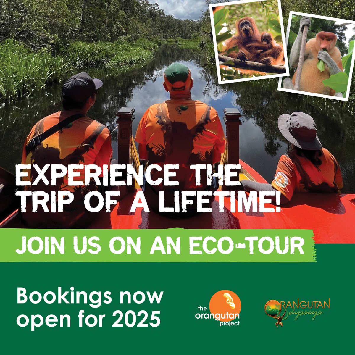 IntElephantProj's tweet image. 📣 Wildlife lovers! Join a 2025 eco-tour 📷 Capture the wild 10-19 May 🐘 Laos elephant trekking 14-23 July 🌿 Sumatra orangutan adventure 10-18 Aug 🦧 Orangutans &amp;amp; dragons, 16-25 Sep. Run by The Orangutan Project and Orangutan Odysseys. Limited spots  ➡️ ow.ly/xMjb50UvLuB