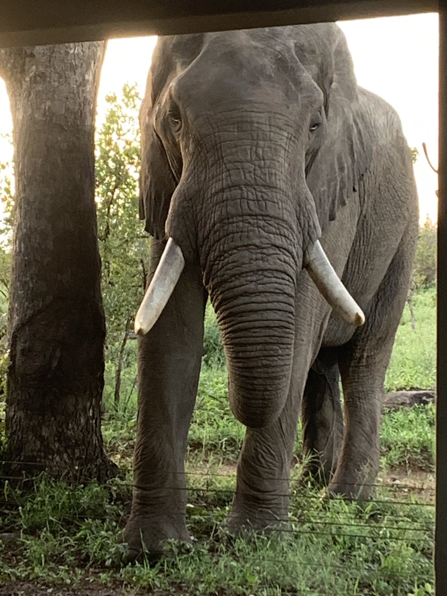 Katherine Sproule tweet media