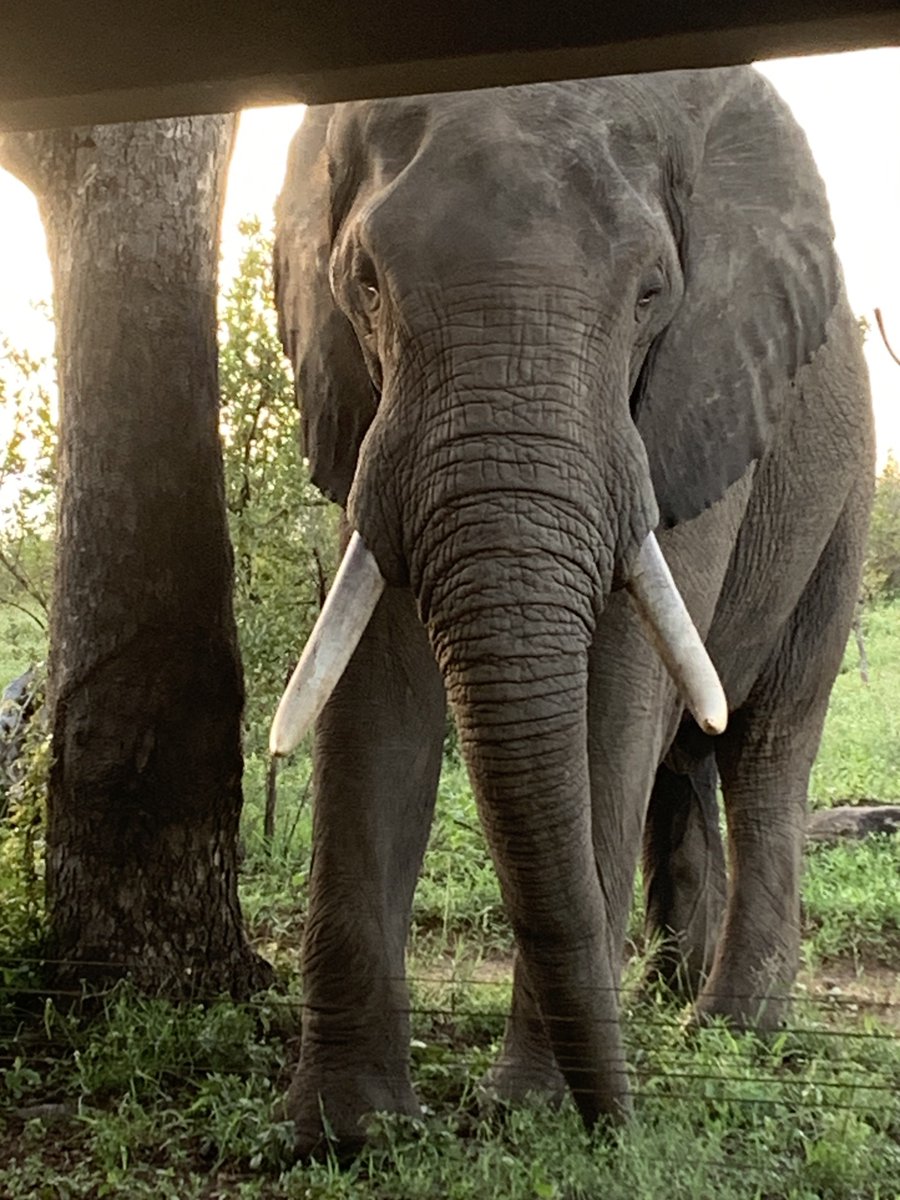 Katherine Sproule tweet media