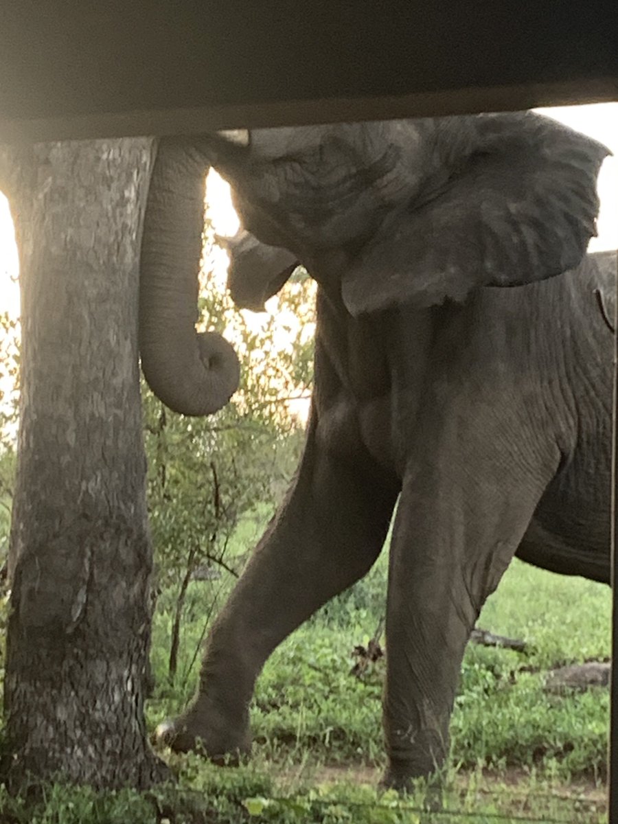 Katherine Sproule tweet media