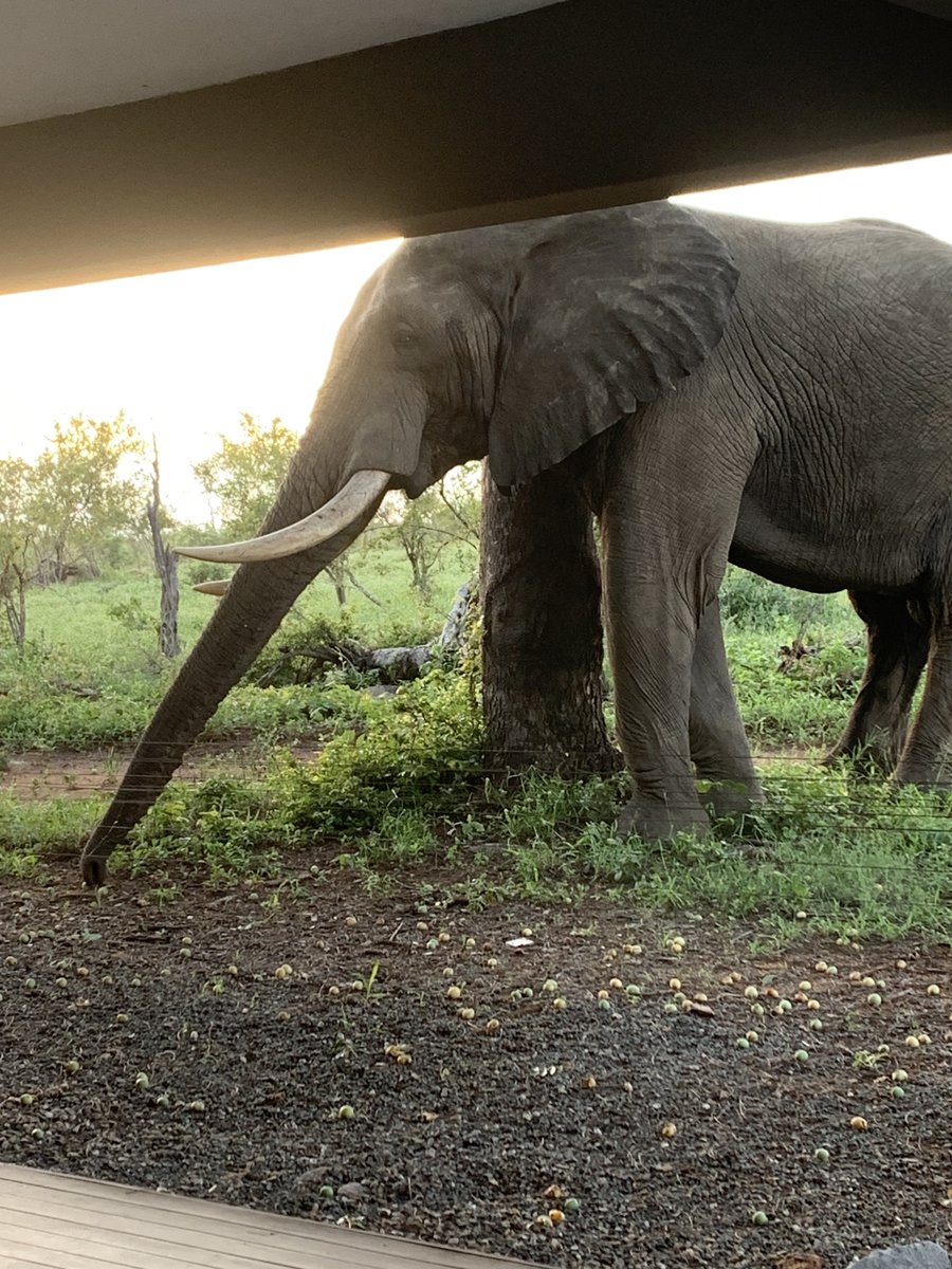 Katherine Sproule tweet media