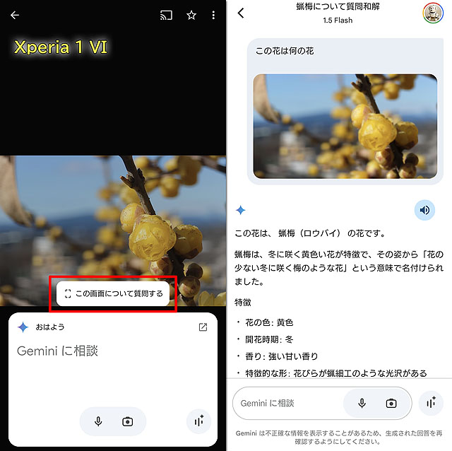 tenin_sato's tweet photo. SIMフリー『Xperia 1 VI』のOS15アップデートとAIアシスタント「Gemini」による画像分析の話 https://t.co/MOroD0y3ln 

#Xperia1VI #Xperia #Xperiaはいいぞ #Gemini #OS15 #Android15 #盗難保護機能 https://t.co/yoW3j2B50T