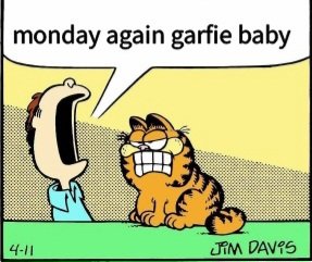 Monday Again (@_garfie_babe) on Twitter photo 