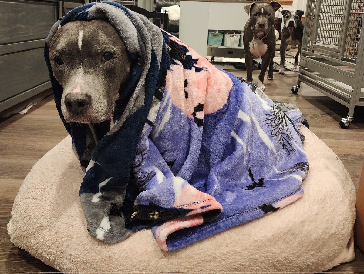 Couple stalkers in the background