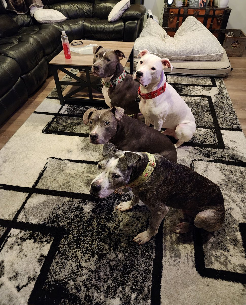 My heart is full 💕