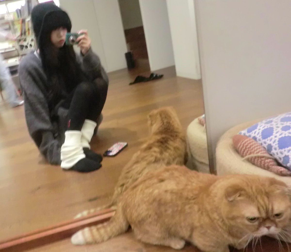 ✨ ✨ ✨ 

#ILLIT #아일릿 #MOKA #모카