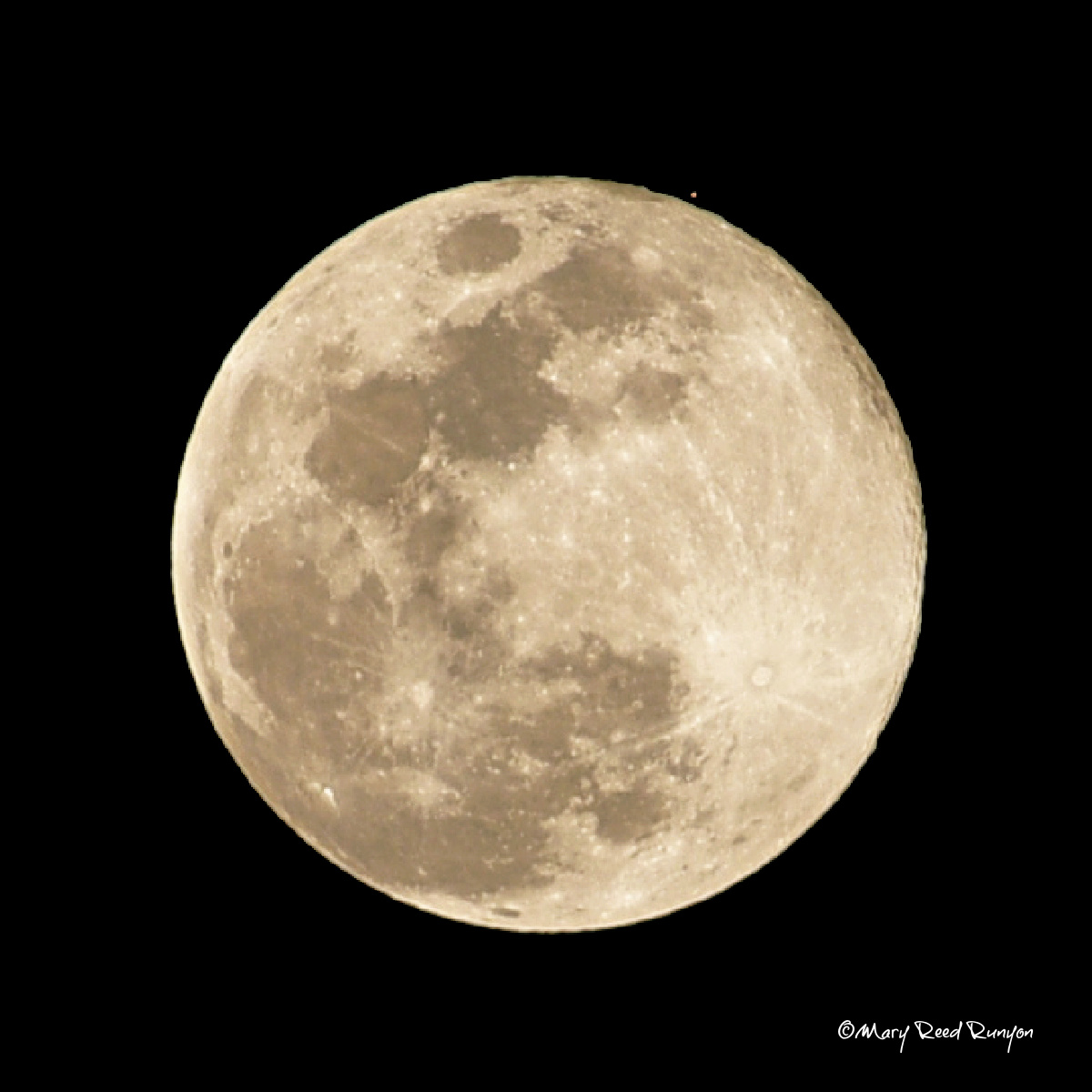 MaryReedRunyon1's tweet photo. Photo taken right after Mars re-emerged from behind the moon. ๐#FullMoon #Mars #FullWolfMoon @WYMT @WSAZBrandon @brobwx @SpencerWeather @Kentuckyweather @cjwxguy56 @JimWKYT @jloganwxguy #ekywx #kywx #sekywx https://t.co/tYE3vyTB4Q