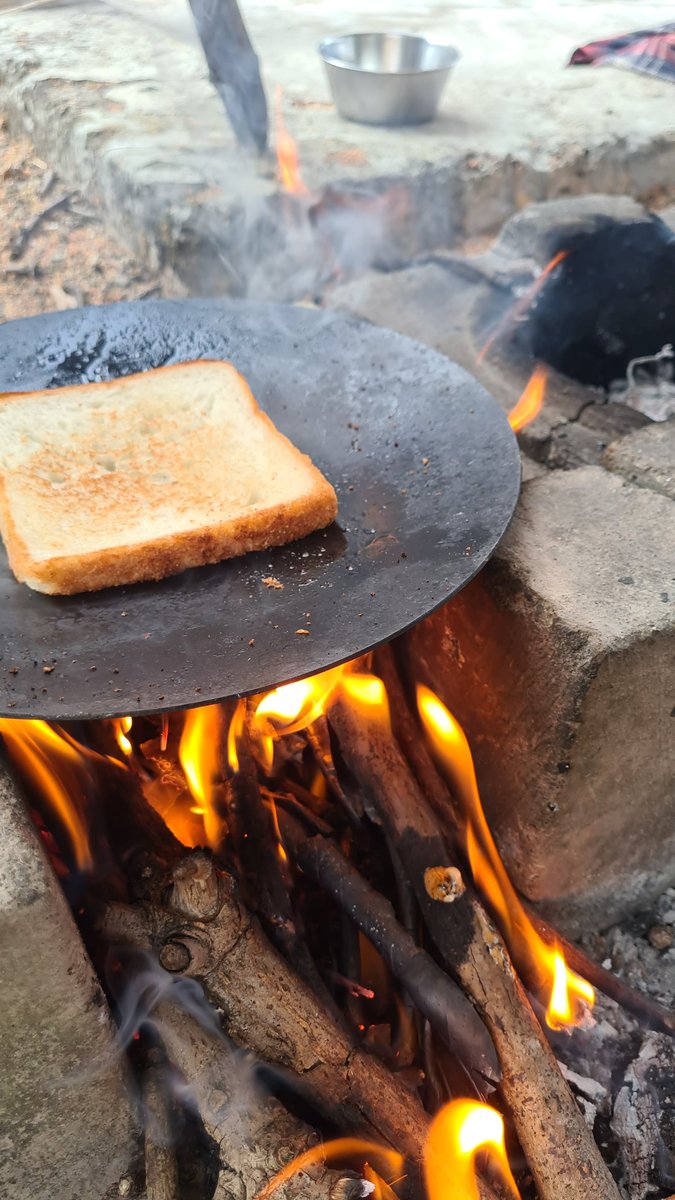 Chiragkapuriya's tweet image. Bread toaster, What? #Gir #MangoFarm