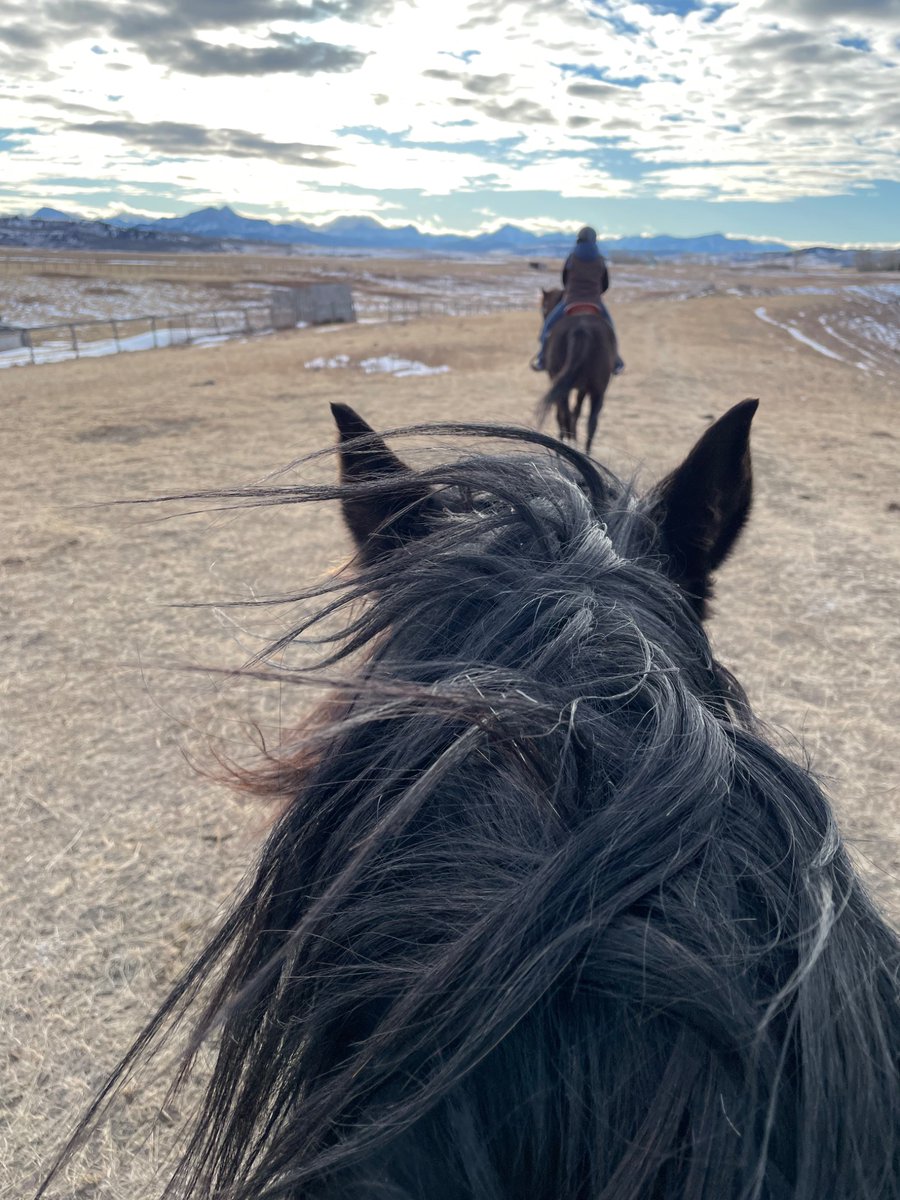 Sandy Stewart (@sandystar2808) on Twitter photo 