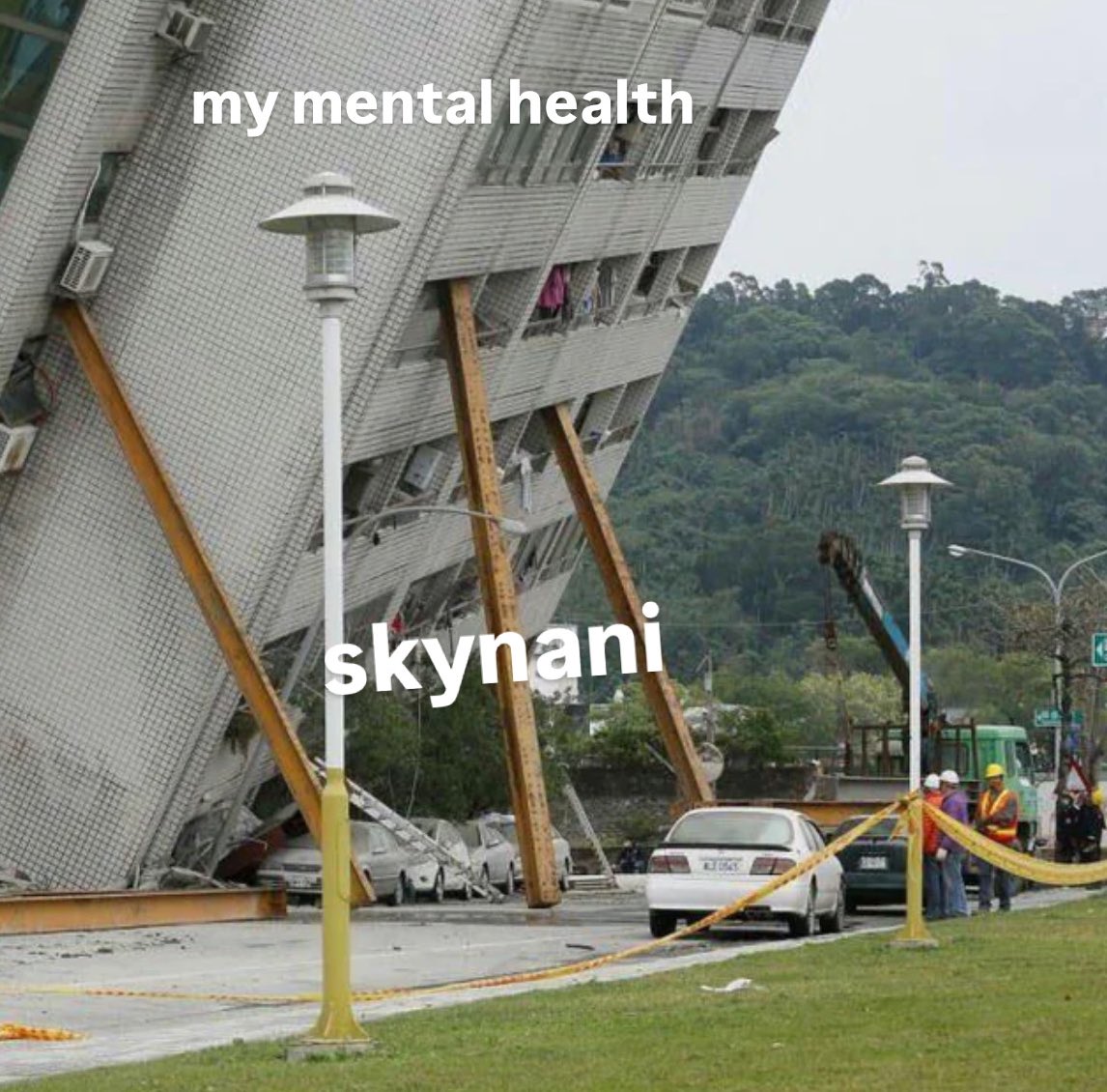 #skynani