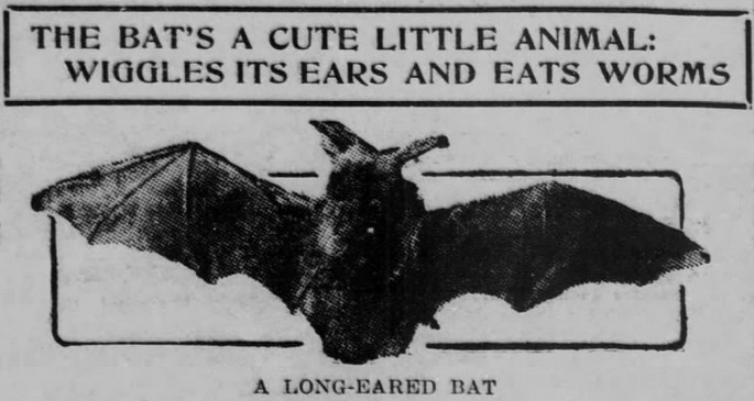 Evansville Press, Indiana, January 14, 1909