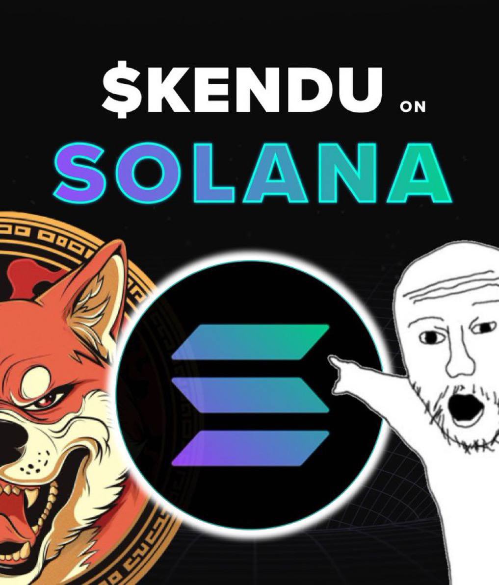 Steu🐍 tweet media