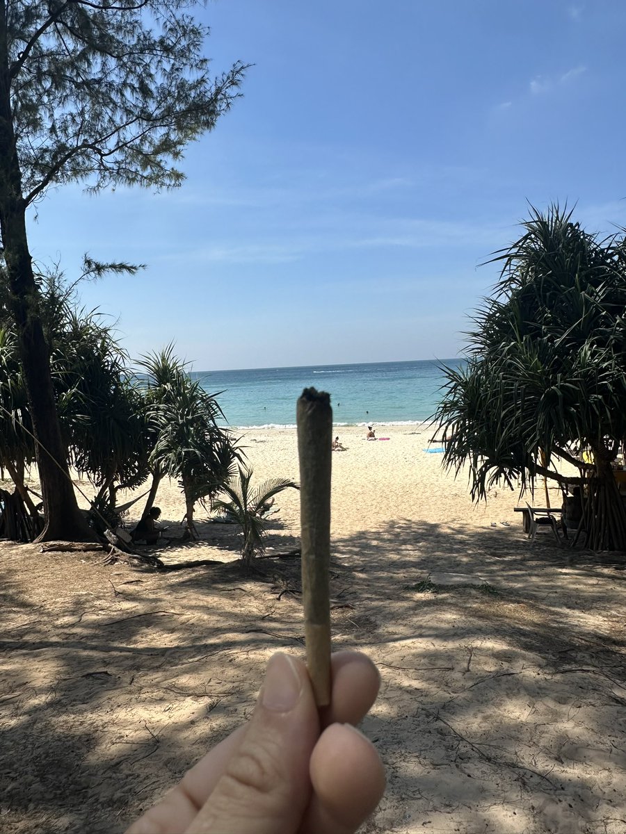 ayberk.hl tweet media