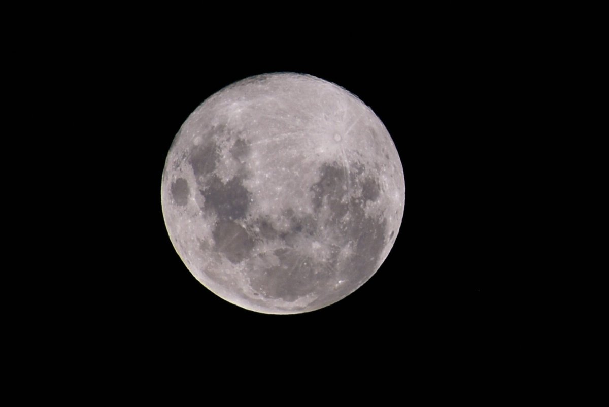 befian's tweet photo. Variando el contenido 📷, primera luna llena 🌕 del año, Luna de lobo 🐺 #luna #llena #lunallena #LunaDeLobo #lunadellobo #MOON #FullMoon #coquimbo #photograghy  #fotografía https://t.co/JSvGbKvYjW