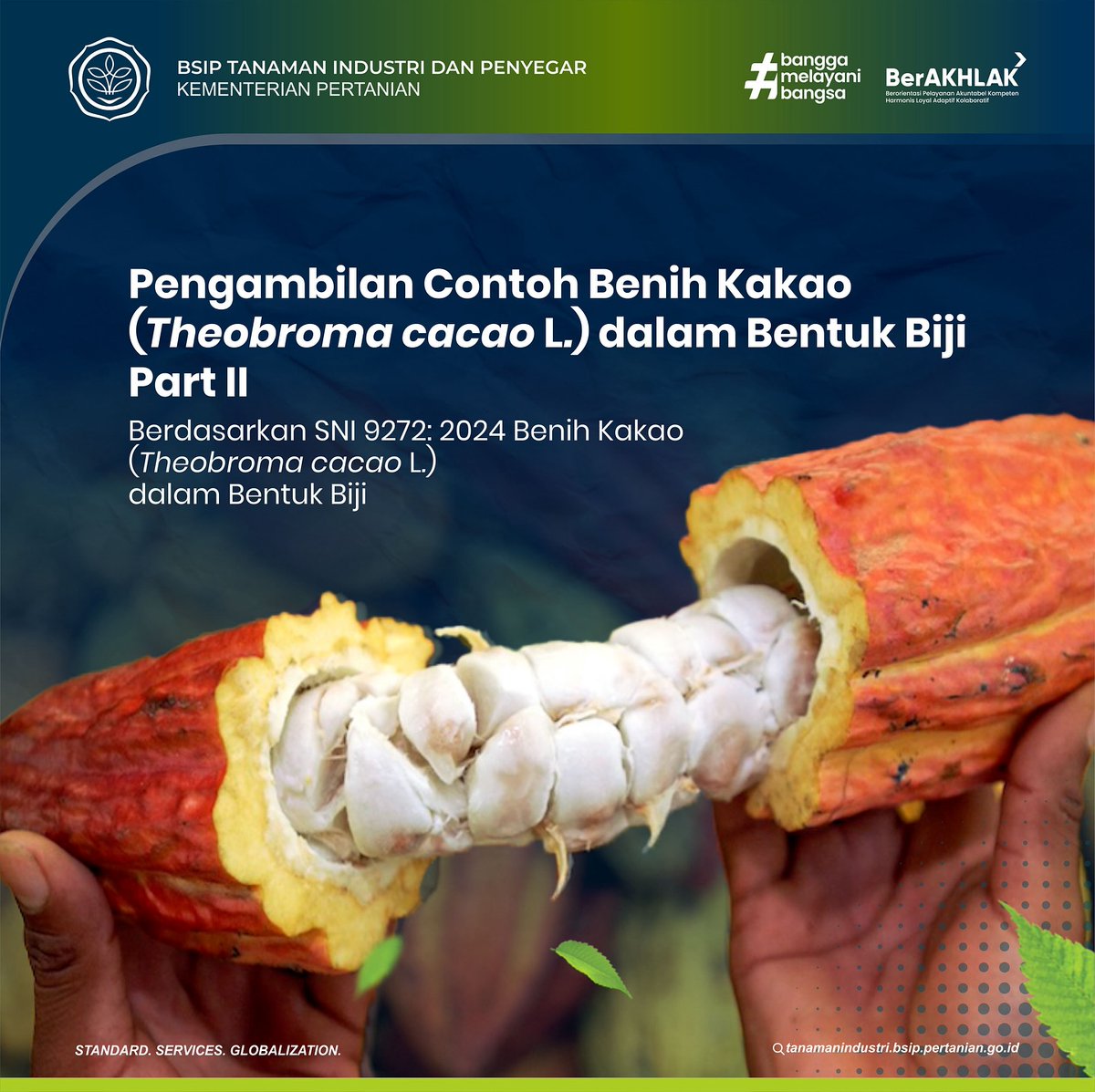 brmptri's tweet image. Hi, #frenSIP
Minggu lalu kita sudah membahas cara sampling untuk kapasitas 15-100 kilogram. Hari ini kita simak lagi yuk untuk sampling pada bobot lebih dari 100 kilogram berdasarkan SNI Benih Kakao yang telah terbit✨