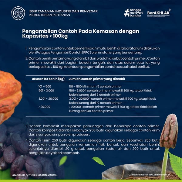 brmptri's tweet image. Hi, #frenSIP
Minggu lalu kita sudah membahas cara sampling untuk kapasitas 15-100 kilogram. Hari ini kita simak lagi yuk untuk sampling pada bobot lebih dari 100 kilogram berdasarkan SNI Benih Kakao yang telah terbit✨
