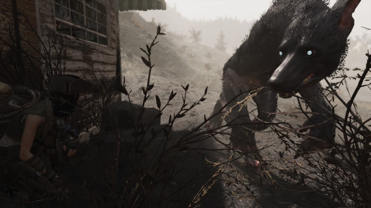 CapnEeryZee's tweet photo. Totally gonna pet the puppy 😁 #Fallout76 https://t.co/725L7GDOiI