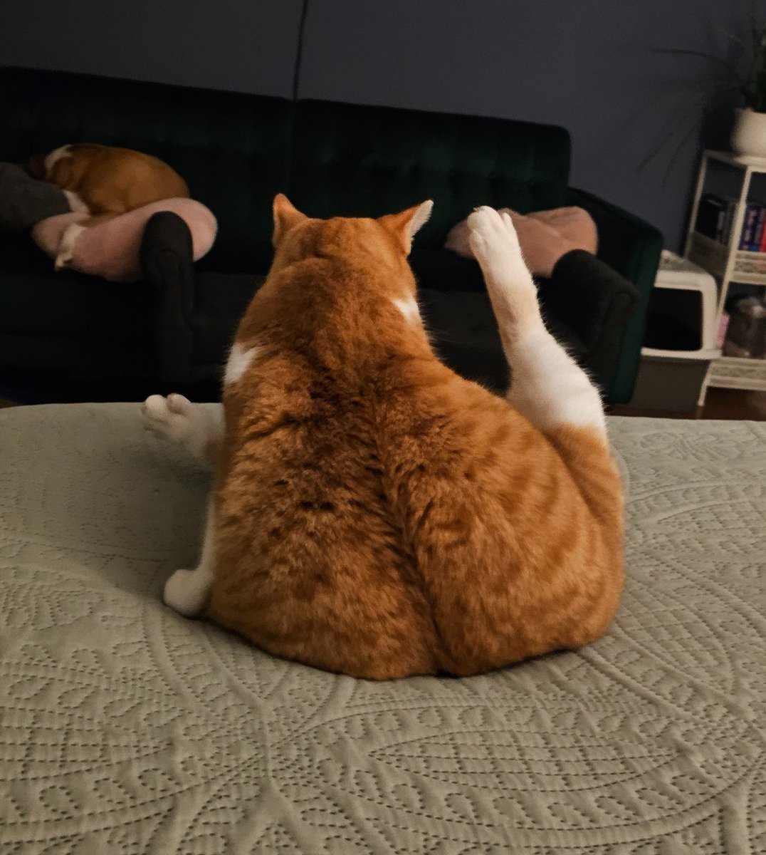 Bobby Duke 💨's tweet media