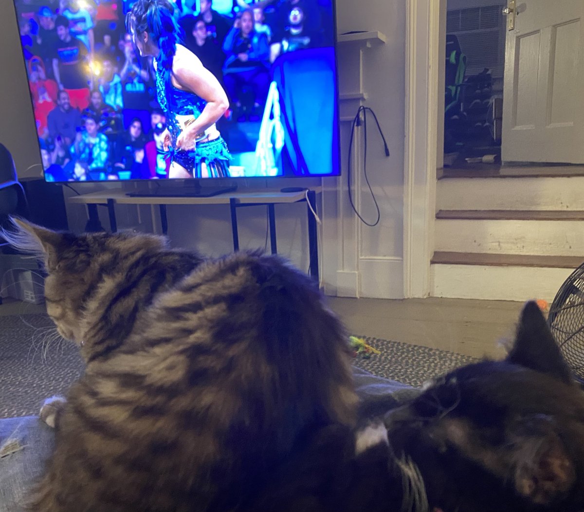 SlavTino's tweet image. Congrats Lyra :)
#AndFirst
#RawOnNetflix