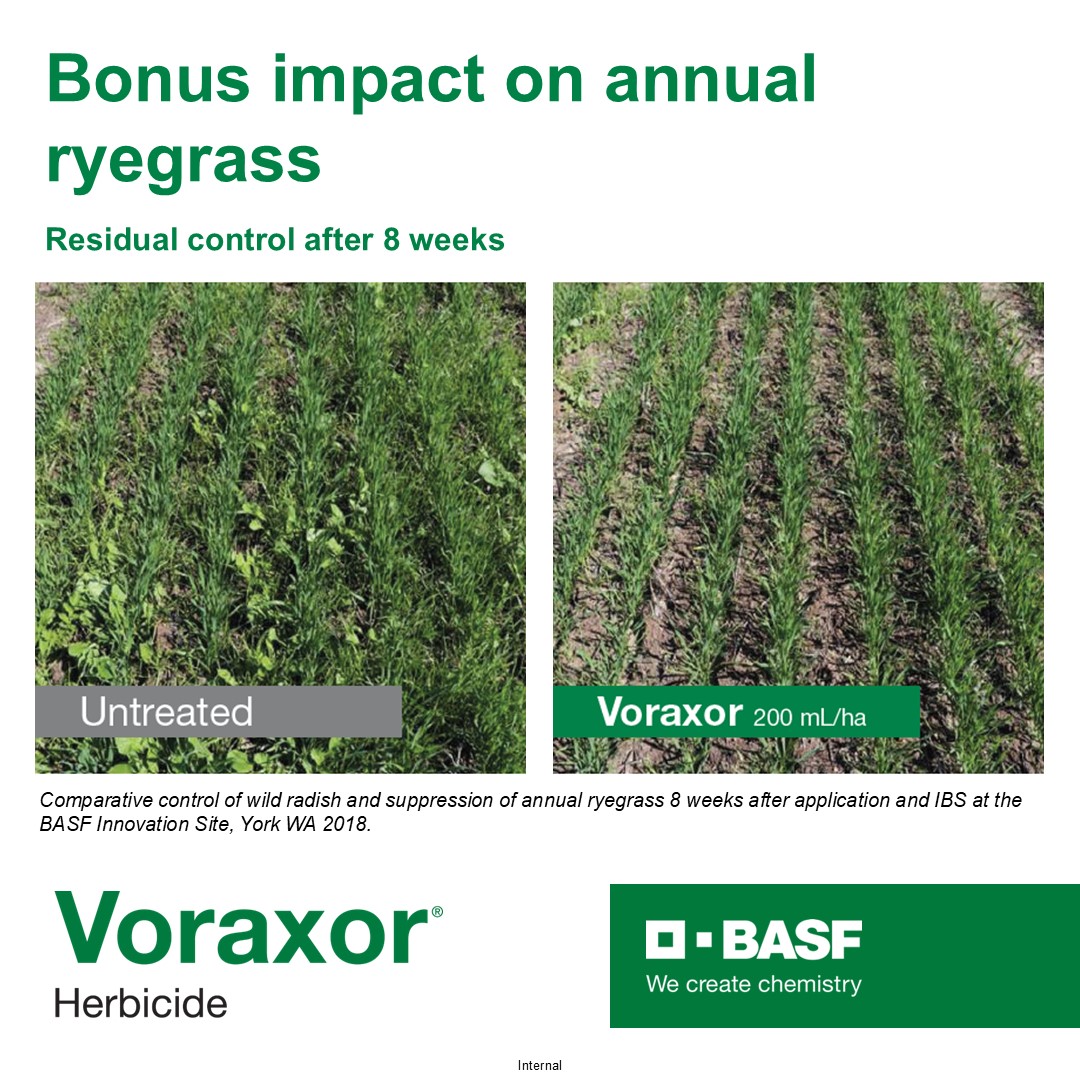 BASF Agricultural Solutions Australia tweet media