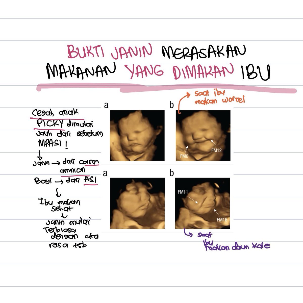 What I wish I knew earlier…