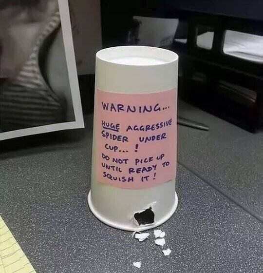 Stormclaw's tweet image. #RandomImage