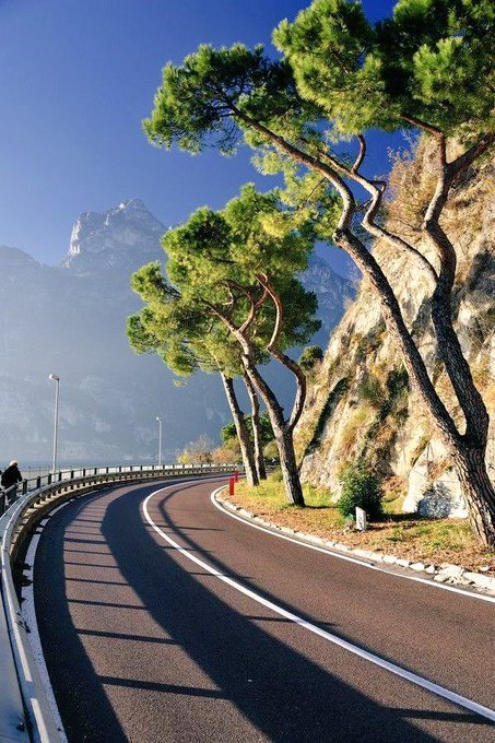 😍 المشاكس 😍 tweet media