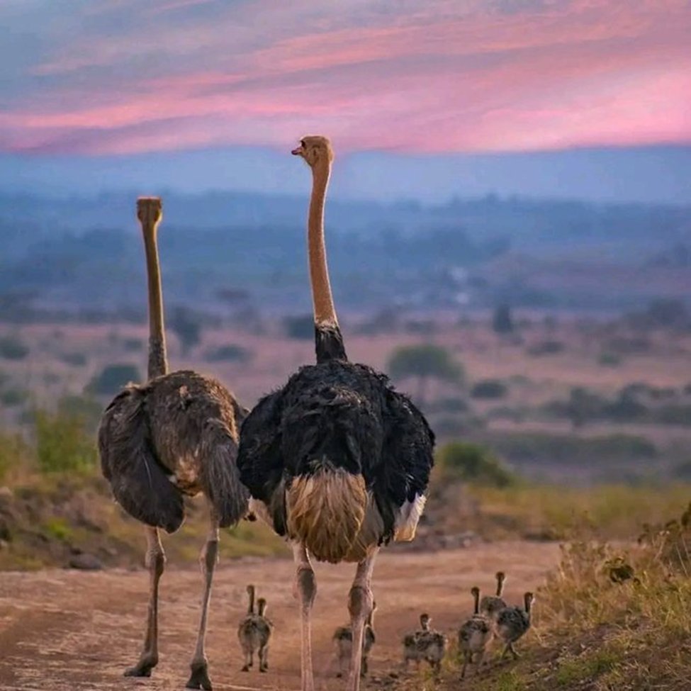 ExcWriters's tweet image. ✨ Get your work done right—on time and stress-free.✨

Contact me today to discuss how I can make your academic journey a breeze this spring! 💼📚#Assignmentdue #Essaydue #Piercecollege #Nationaluniversity #WWERaw📷#MNFWildCard #SamDarnold #autofire #Deion #OnlineClassHelp