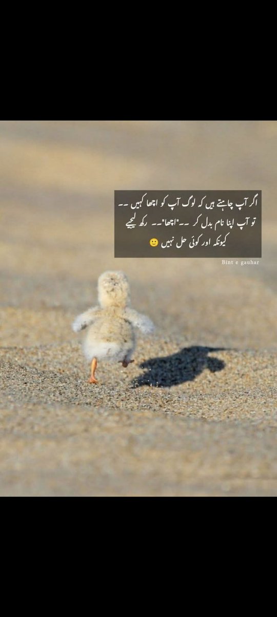 السلام  علیکم🌼
مجھے  فالو کریں✅
کمنٹ میں Done  لکھیں😍
اور فالو بیک جلدی سے  حاصل❤️✅
شکریہ