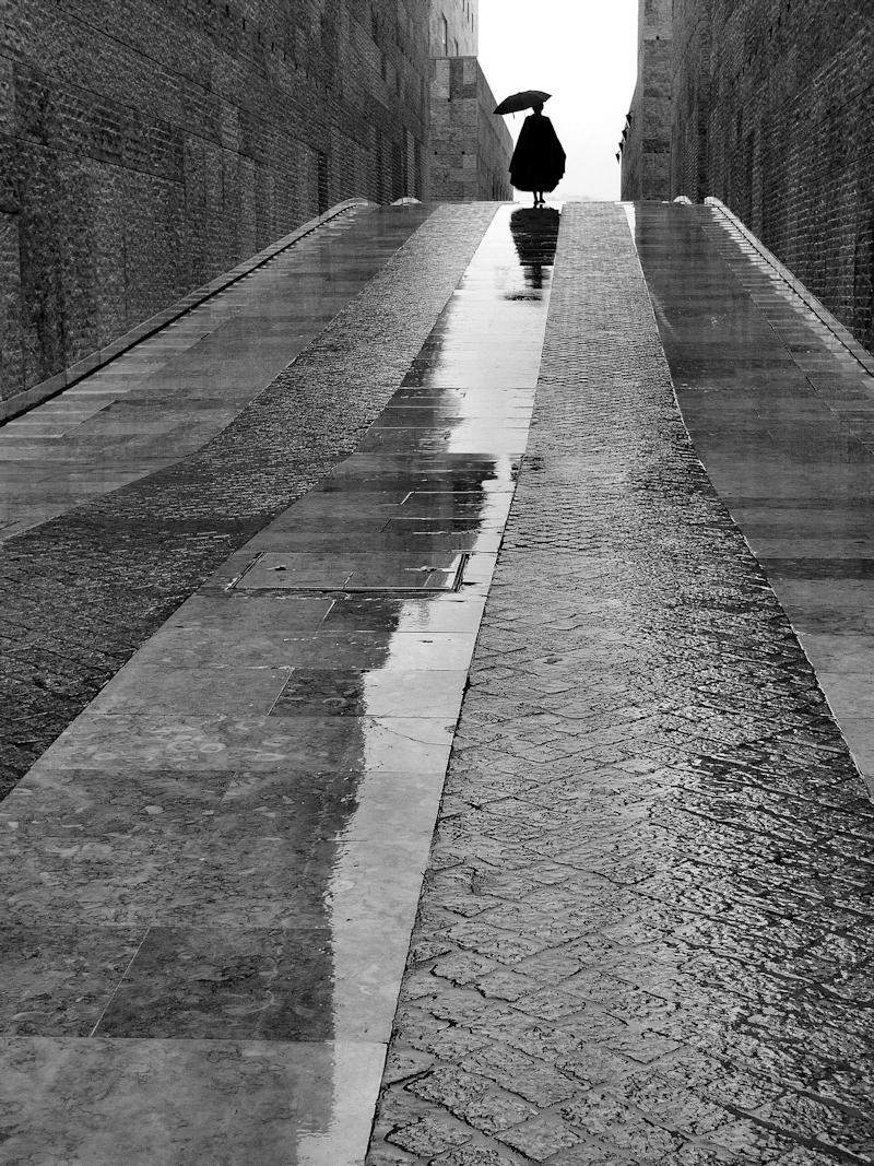 Rui Palha