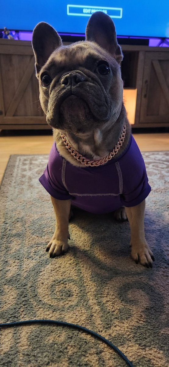 Still the cutest lil teammate 💜💛