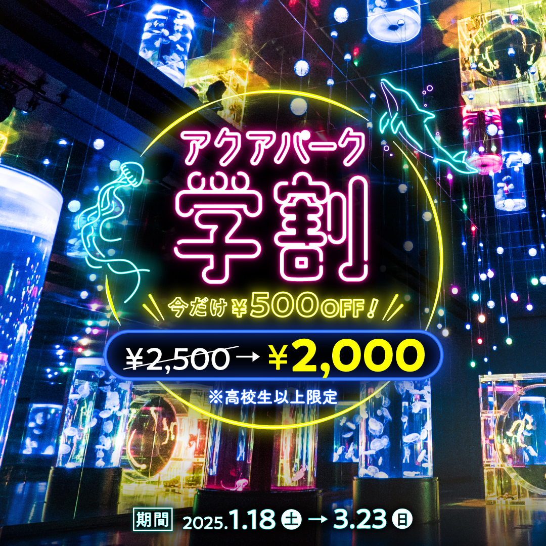 高校生以上の学生限定！ ／ 🌸 #アクアパーク学割 🌸 期間：2025年1月