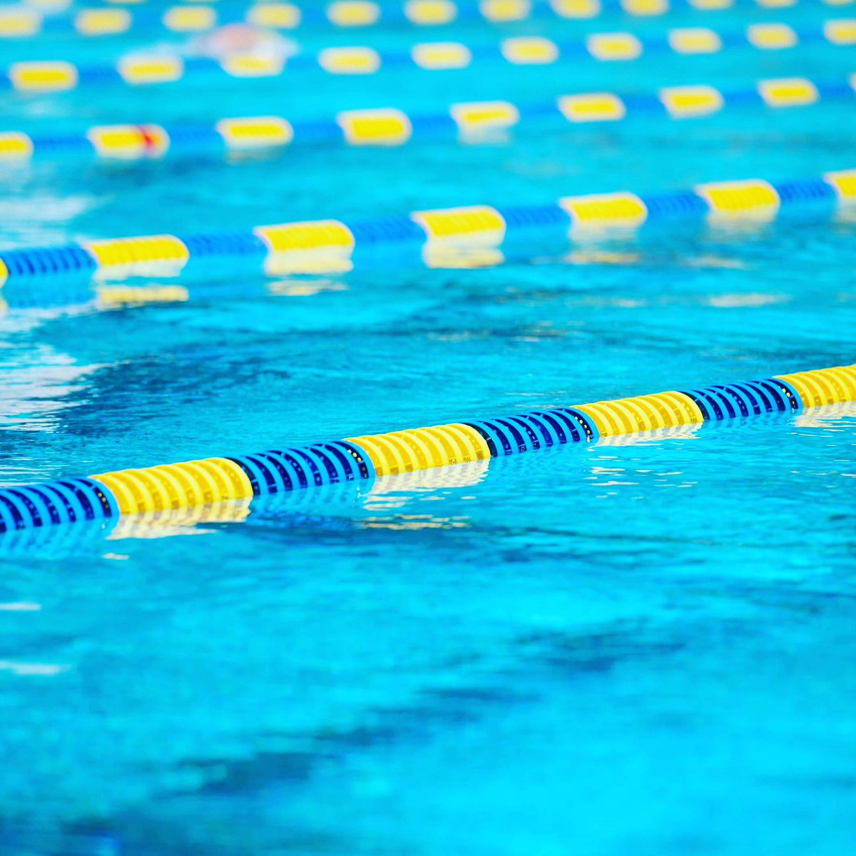 BrunoVermeire's tweet image. After a good night’s sleep it’s time to get up early for our second swim of the week. Ready to go to the pool. #goodnightsleep #time #getupearly #second #swim #swimmer #tuesday #readytogo #pool #sportmotivation