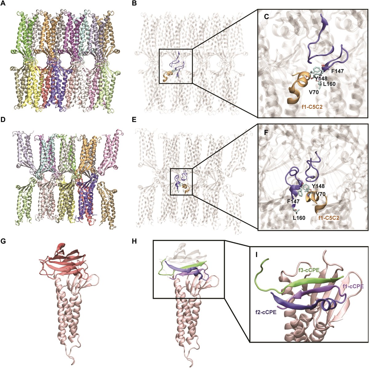 Manuela Casasoli tweet media