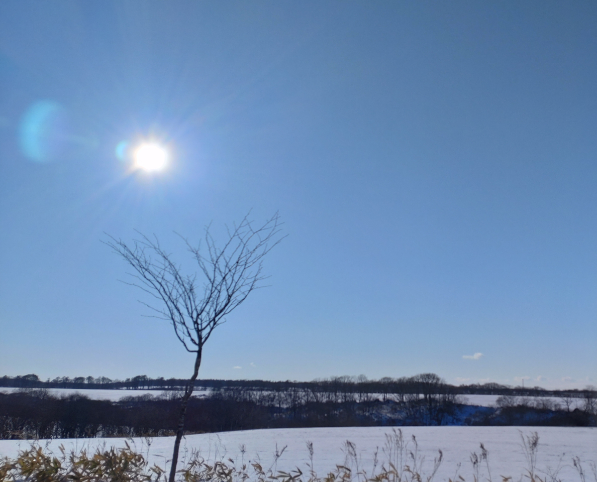 sakuraebitima's tweet photo. あけましておめでとうございます。

昨年末から4～5年ぶりに実家の北海道へ帰省していました。
画像は帰省した時に撮った写真です。
（現在はまた長野県）

そして

さくらえび ちま
今年は色々動きが見せられるかと思います。

どう動くかはまた追々ということで。

今年もよろしくお願いします。 https://t.co/Tp2qX0x2Ph