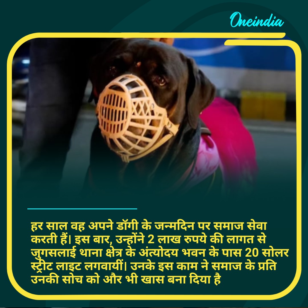oneindiaHindi's tweet image. 5 लाख खर्च कर महिला ने मनाया अपने डॉगी का बर्थडे, 300 लोगों को दावत, 40000 का केक, डीजे और लाइव म्यूजिक की गई व्यवस्था
#petlovers #DogLover #dogbirthday