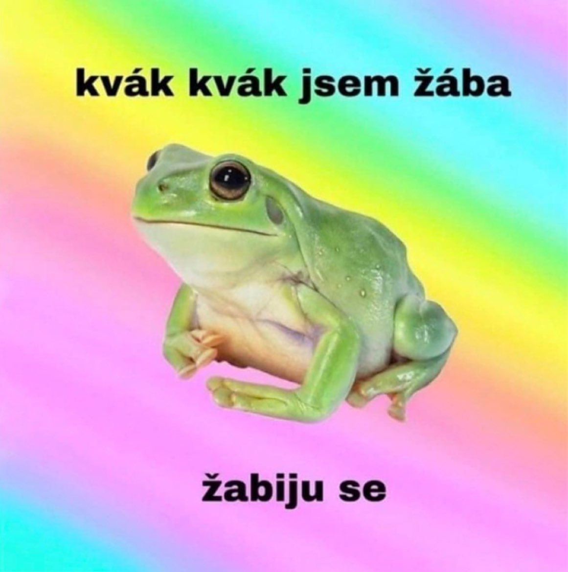zmartinkaktin's tweet photo. https://t.co/8Djrg1LYAX