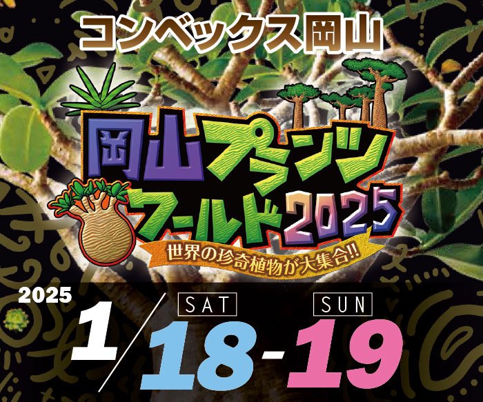 plantsworldjp's tweet photo. (速報)
テレビせとうちにて岡山レプタイルズワールドと岡山プランツワールドのテレビ中継が有ります！
放送日時：1月17日　金曜日　午後5時～ななスパBIZ

https://t.co/6NirlXsmgU

https://t.co/NbDyDrNMEc

https://t.co/hA9pLlhNl0 https://t.co/ZxyogKCgVa