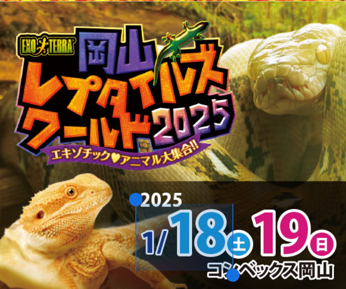 plantsworldjp's tweet photo. (速報)
テレビせとうちにて岡山レプタイルズワールドと岡山プランツワールドのテレビ中継が有ります！
放送日時：1月17日　金曜日　午後5時～ななスパBIZ

https://t.co/6NirlXsmgU

https://t.co/NbDyDrNMEc

https://t.co/hA9pLlhNl0 https://t.co/ZxyogKCgVa