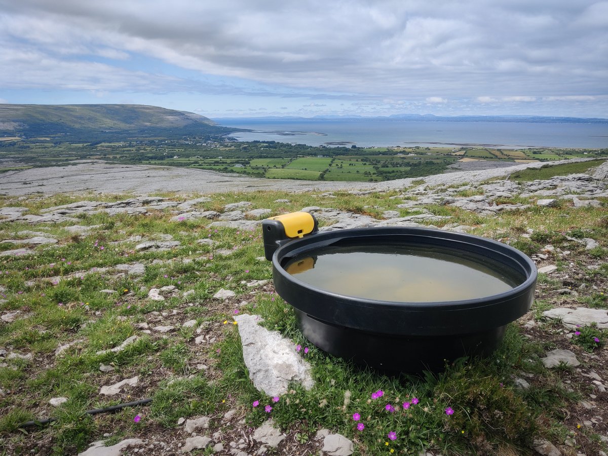 Acres Burren Aran tweet media