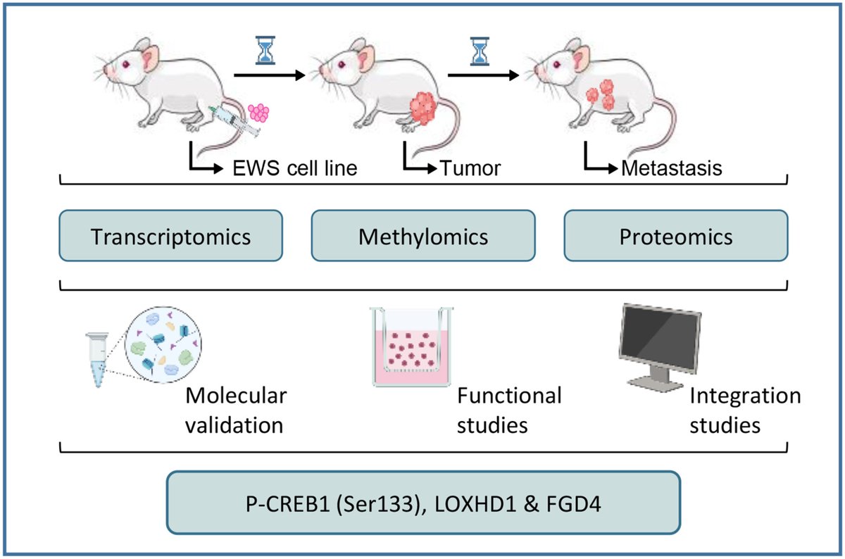 Molecular Oncology tweet media