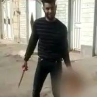فمینیست سلیطه (مادر ارّهها) tweet media