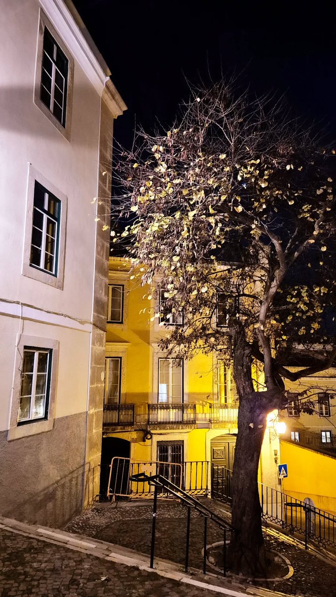 Mtigrel_37's tweet photo. #Arrival #NewPlace #FirstPhotos https://t.co/zV8868FRRo