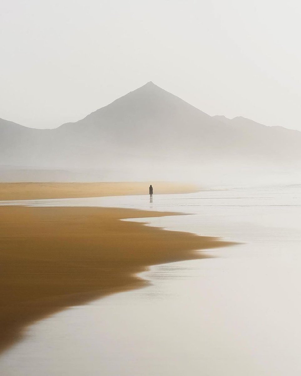 IoriTosa2's tweet image. .
.
' A walk help to reset the mind '
©️ Gabriele Corno
.
.