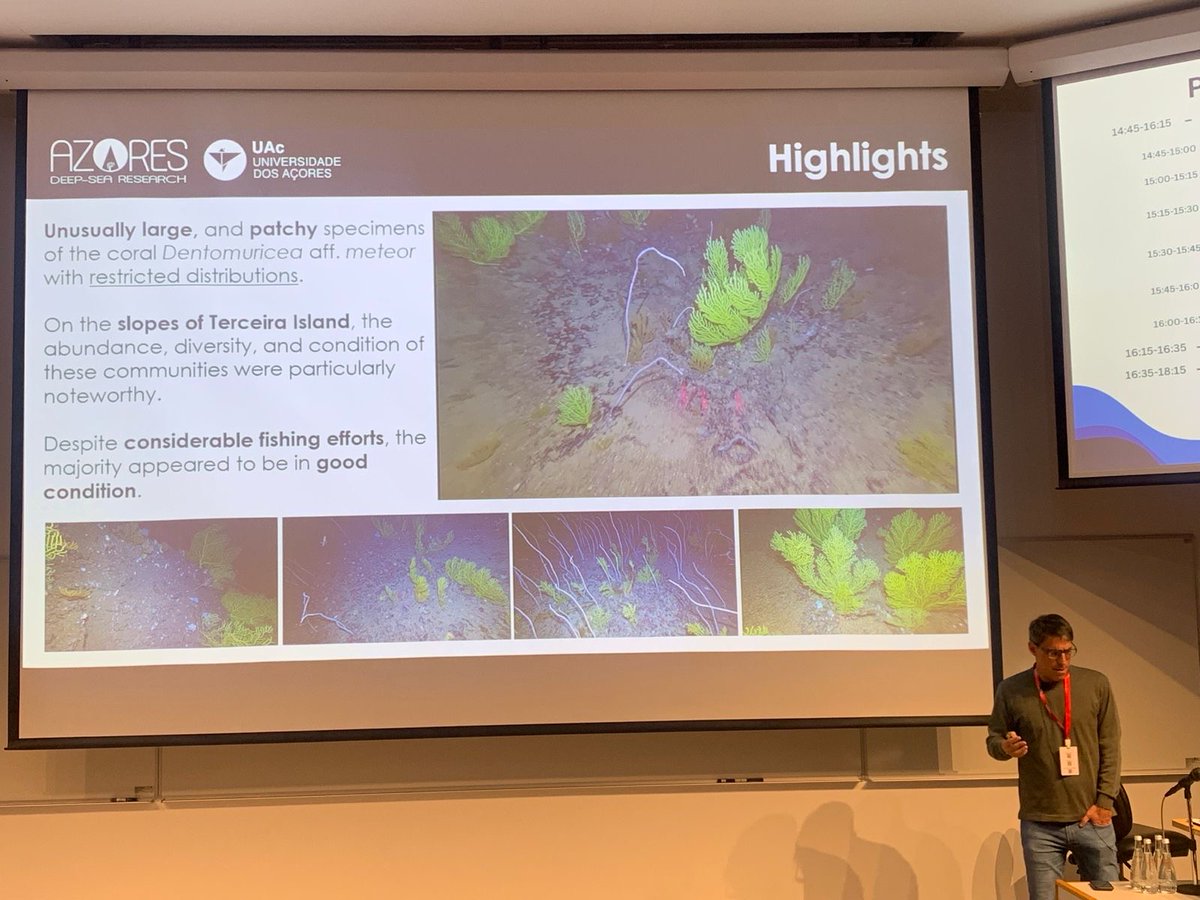 Azores Deep-Sea Research tweet media