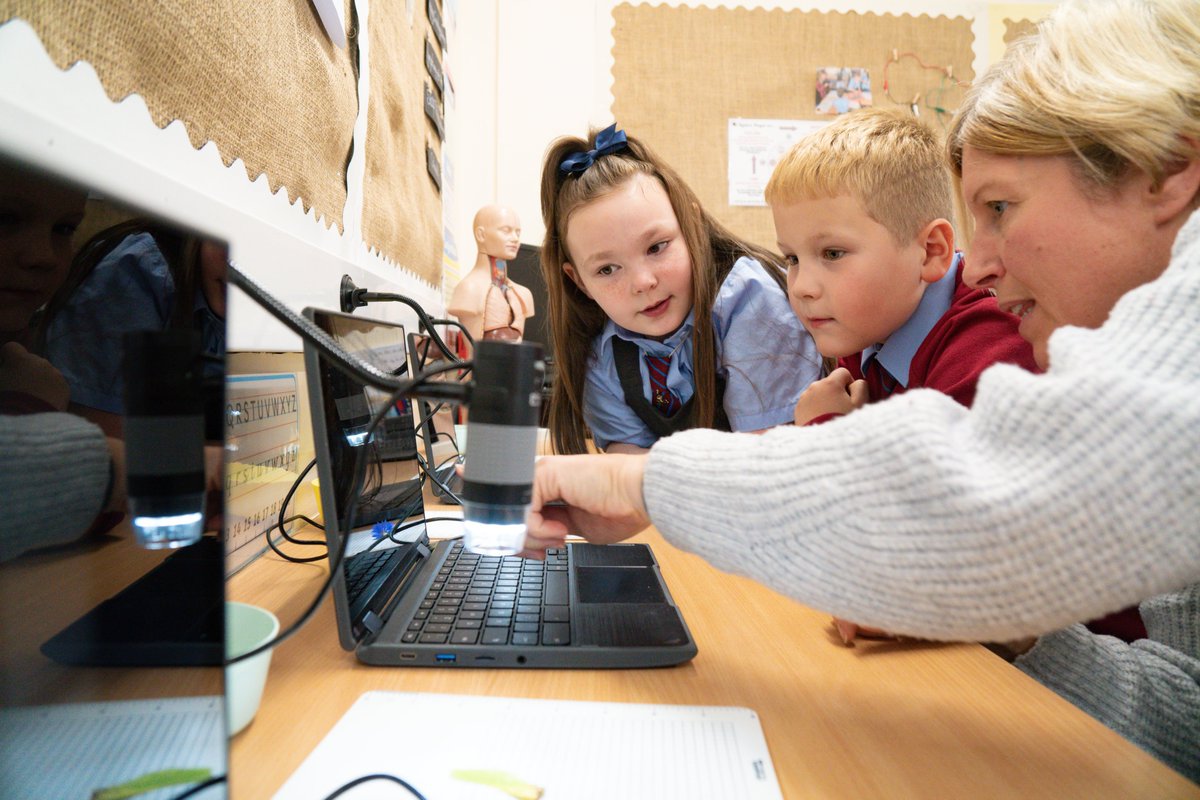 Primary Learning Trust tweet media